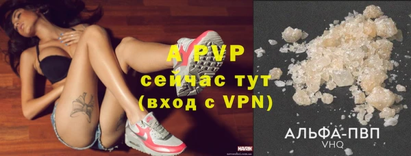 PSILOCYBIN Михайловск
