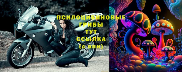 PSILOCYBIN Михайловск