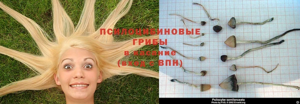 spice Баксан