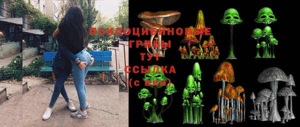spice Баксан