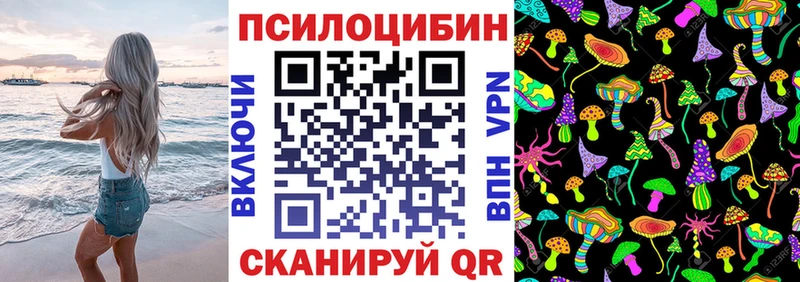 наркота  Каспийск  Псилоцибиновые грибы Psilocybe 