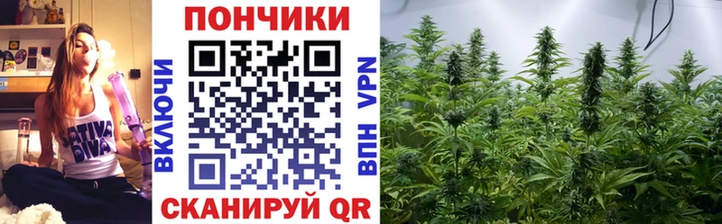 МЕГА как зайти  Каспийск  Конопля семена 